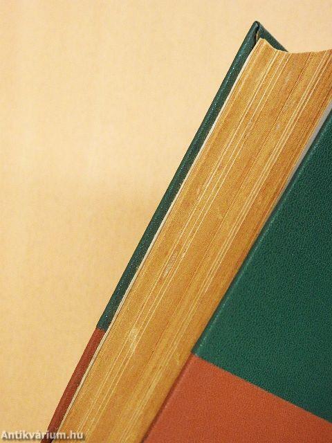 Az ördög hegedűse