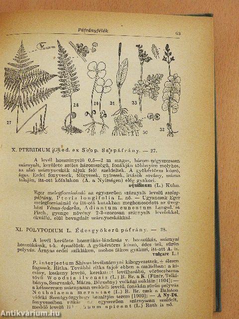 Növényhatározó II.