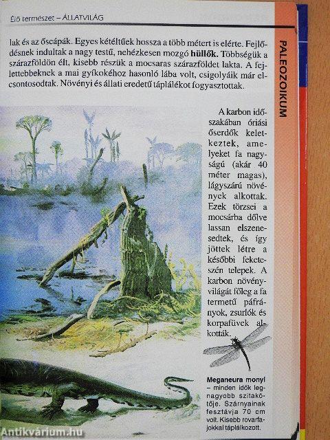 Élő természet - Állatvilág