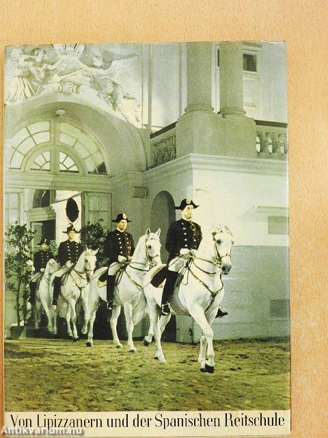 Von Lipizzanern und der Spanischen Reitschule