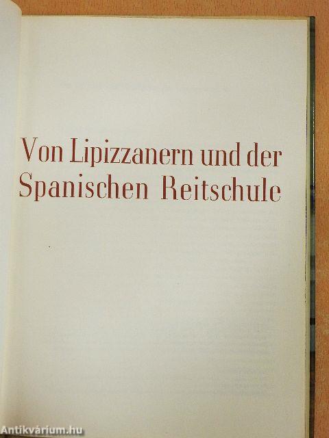 Von Lipizzanern und der Spanischen Reitschule
