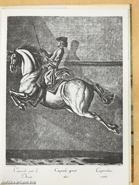 Von Lipizzanern und der Spanischen Reitschule