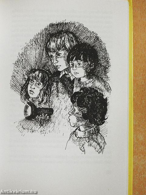 Five on a Treasure Island