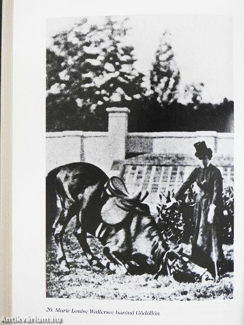 Egy udvarhölgy naplójából