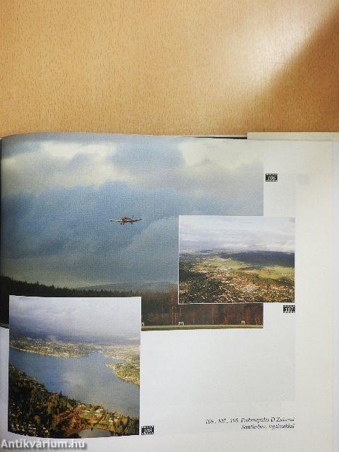 Tűzözön és hóvihar