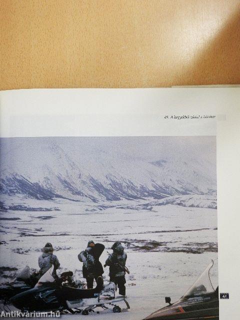 Tűzözön és hóvihar