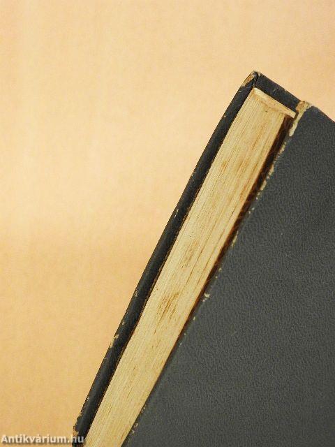 Casanova hazatérése