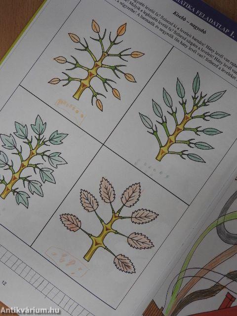 Iskolába készülök