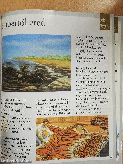 Dinoszauruszok és más kihalt állatok