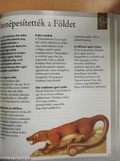 Dinoszauruszok és más kihalt állatok