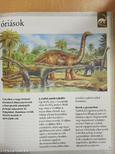 Dinoszauruszok és más kihalt állatok