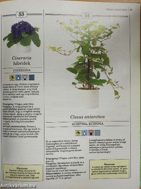 200 kedvelt szobanövény termesztése és ápolása