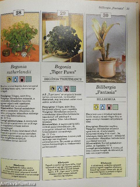 200 kedvelt szobanövény termesztése és ápolása