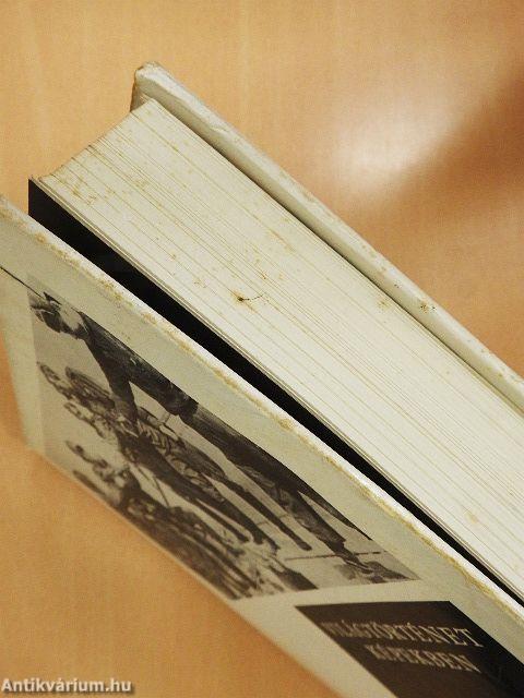 Világtörténet képekben II.