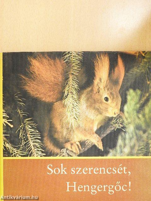 Sok szerencsét, Hengergőc!