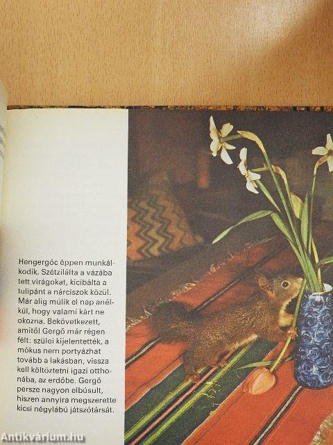 Sok szerencsét, Hengergőc!