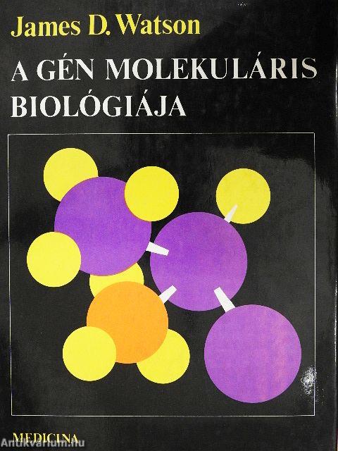 A gén molekuláris biológiája
