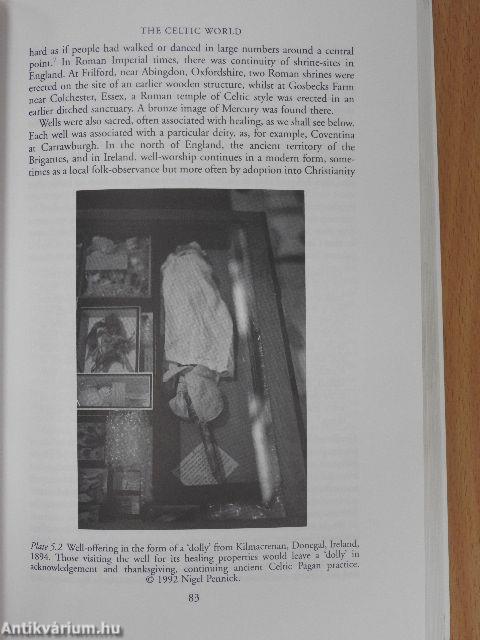 A History of Pagan Europe