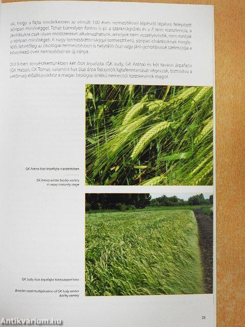 Célok és eredmények a 95 éves Gabonakutatóban