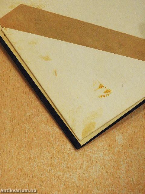 Pesterzsébet, Soroksár Budapest XX. kerületének múltja és jelene