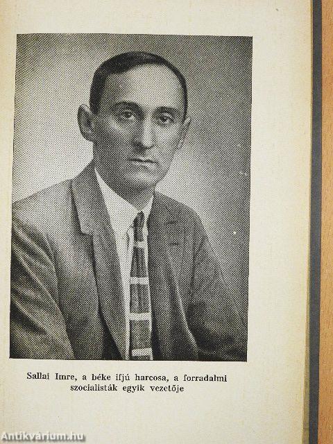 Sallai Imre és Fürst Sándor élete és mártírhalála