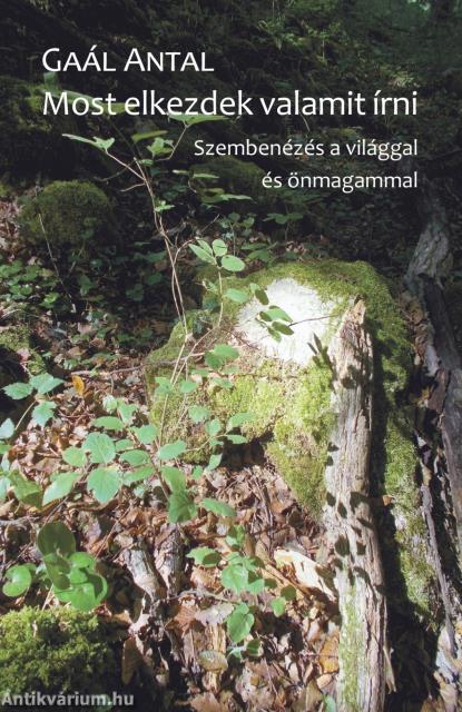 Most elkezdek valamit írni