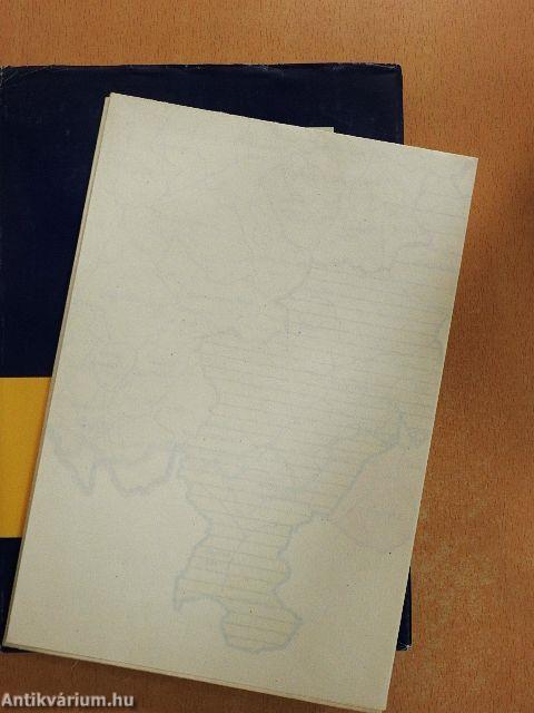 Veszprém megye közigazgatási beosztásai és tanácsi vezetői