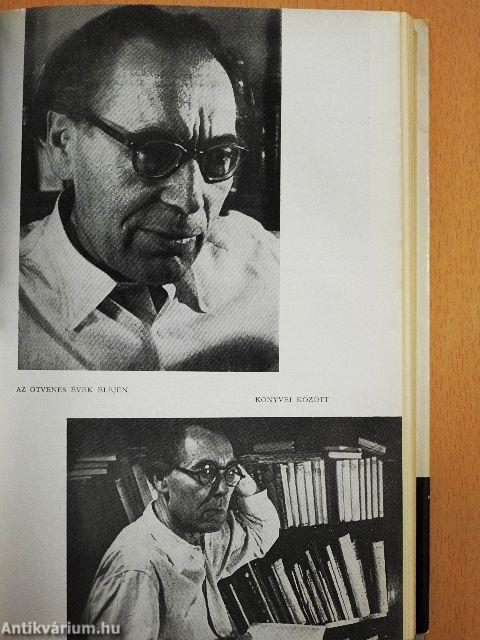 Napló, levelek, cikkek