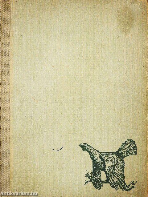 A Keleti és Déli Kárpátokban