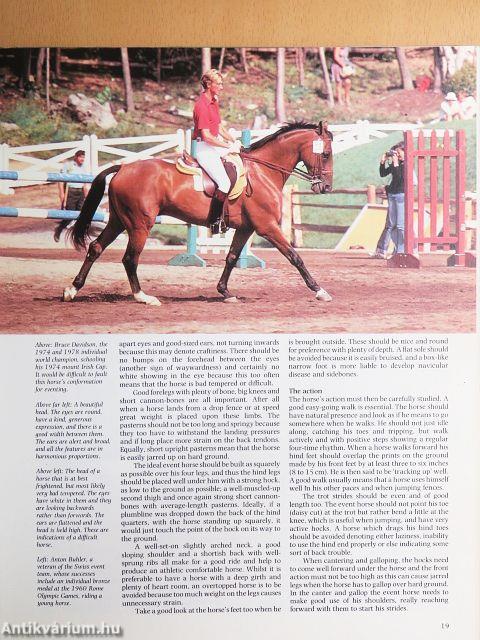 Horses in Competition