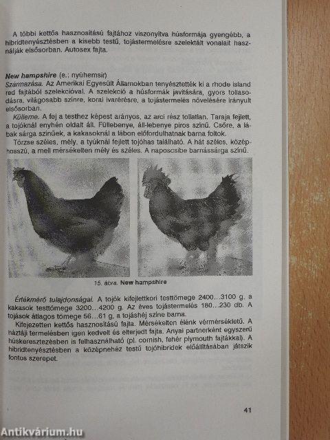 Baromfi- és kisállattenyésztés, prémesállat-tenyésztés, halászat, méhészet