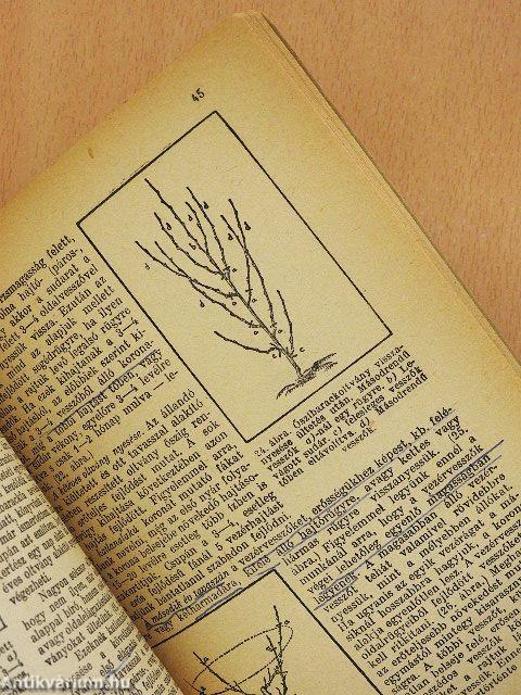 Őszibarack termesztése