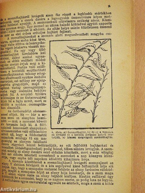 Őszibarack termesztése