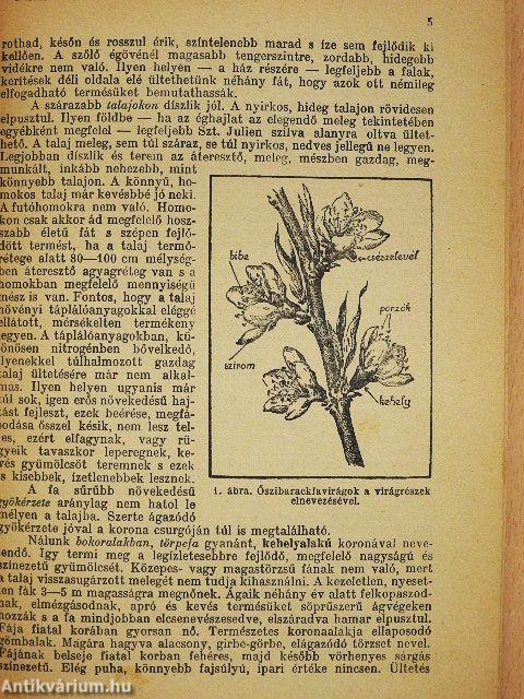 Őszibarack termesztése