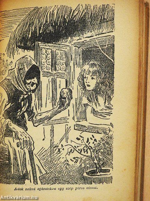 A legszebb Grimm mesék