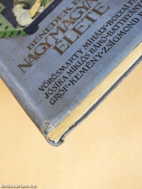 Nagy magyarok élete