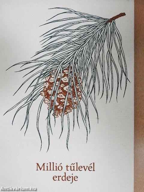 Millió tűlevél erdeje