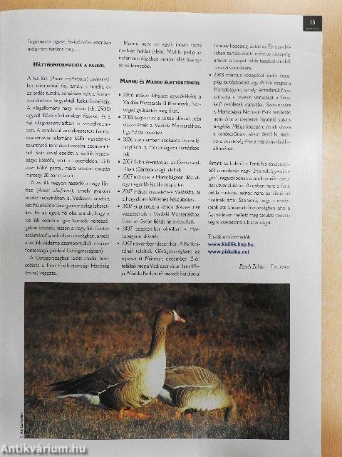 Madártávlat 2008. nyár