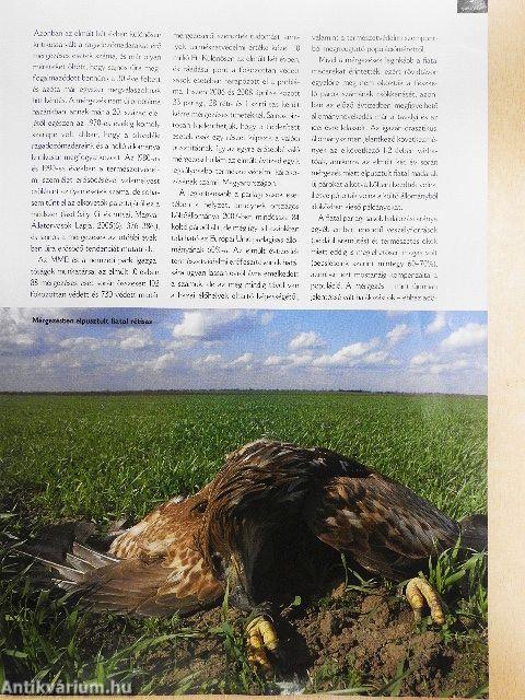 Madártávlat 2008. nyár