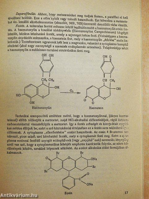Az anatómia történetének vázlata