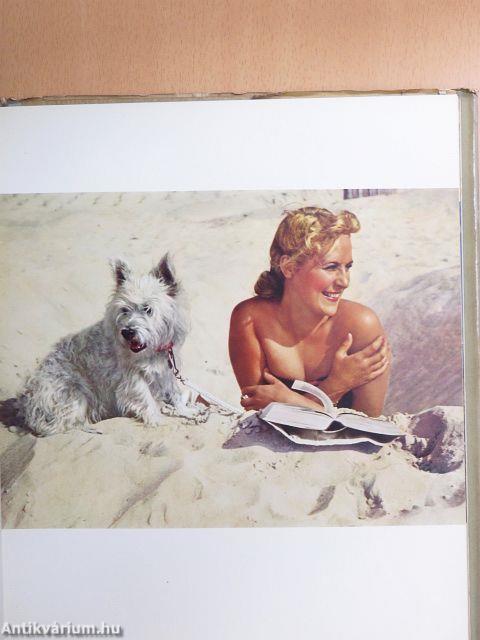 Meine Erfahrungen ...farbig