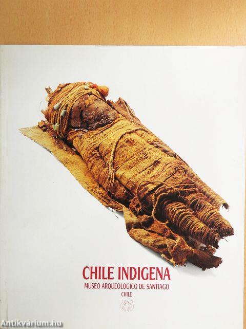 Chile indigena