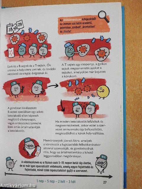 A baktériumok és a vírusok világa