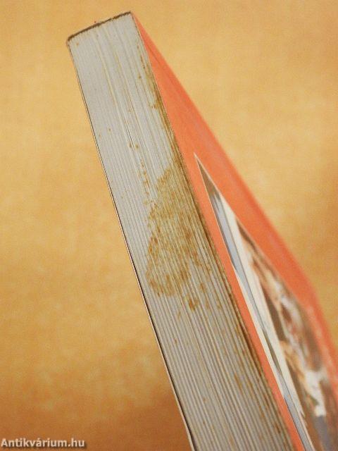 Békés megyei Sportévkönyv '98