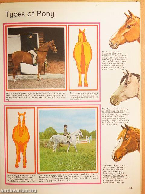 My Learn to Ride Book