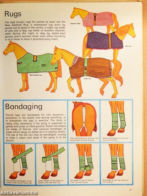My Learn to Ride Book