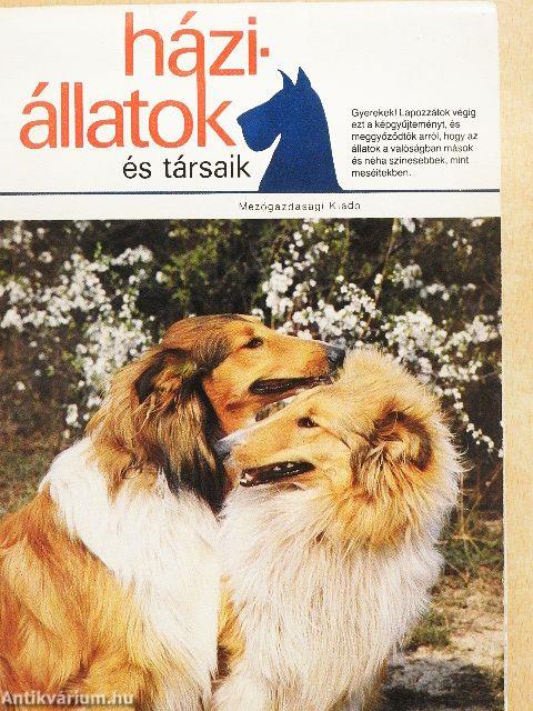 Háziállatok és társaik