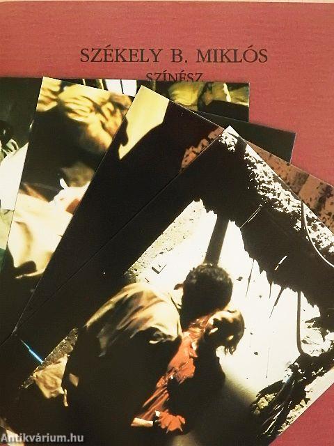 Székely B. Miklós színész