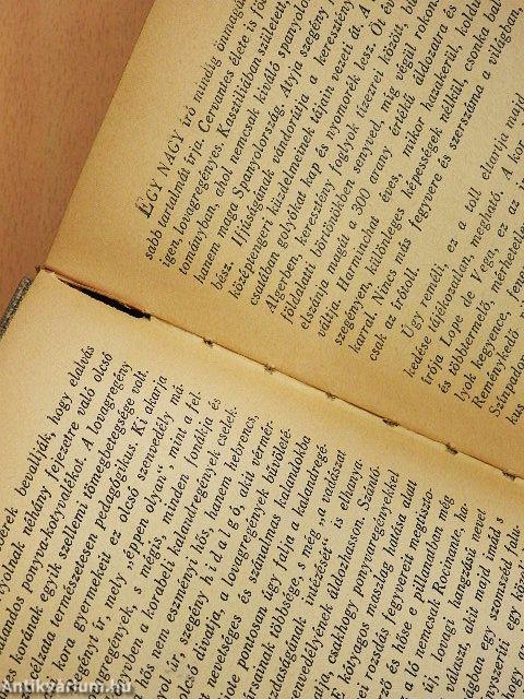 Az elmés nemes Don Quijote de la Mancha I-II.