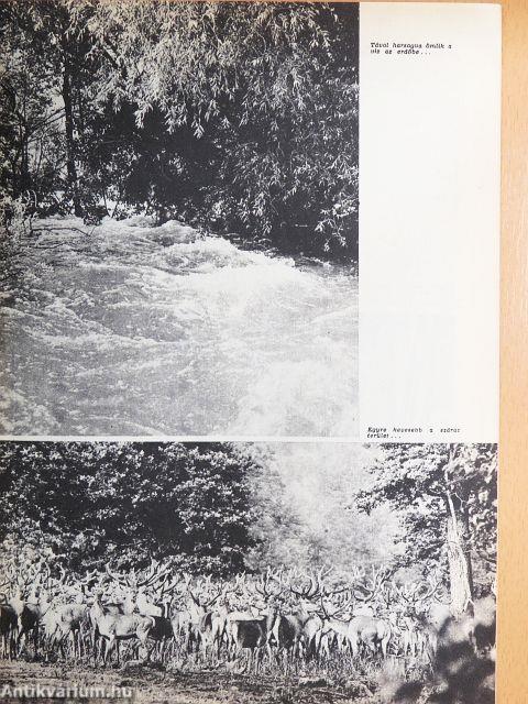 Nimród 1975. szeptember